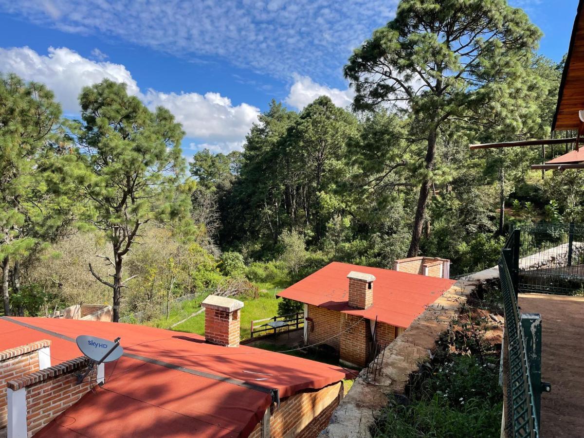 Los Pirineos Mazamitla Bagian luar foto